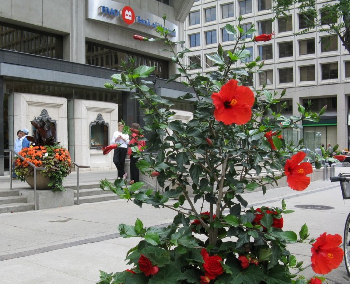 Manulife - Outdoor Planter 2