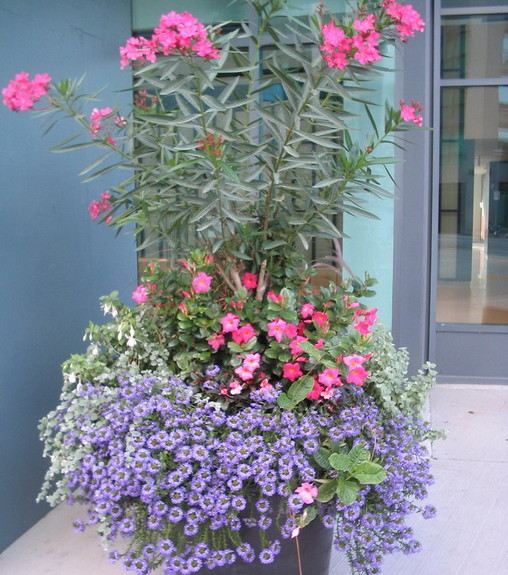 Commercial Planter