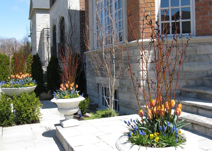 Spring Residential Planters